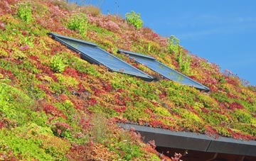 Anslow Gate living roof systems