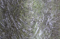 Anslow Gate fibreglass roof work